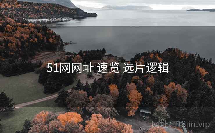 51网网址 速览 选片逻辑  第2张