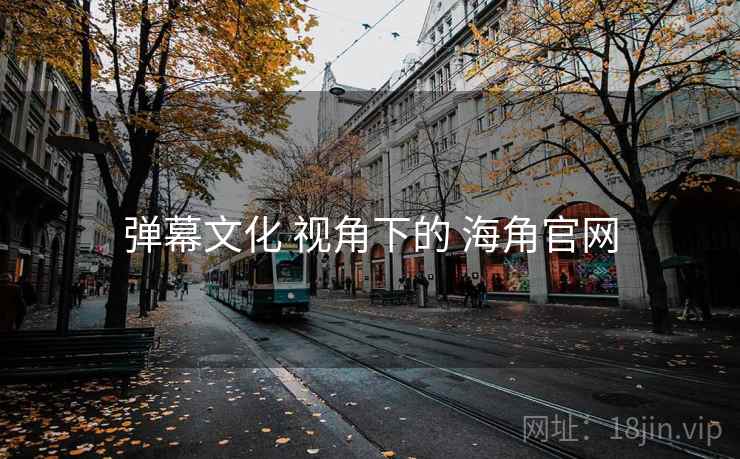弹幕文化 视角下的 海角官网  第2张