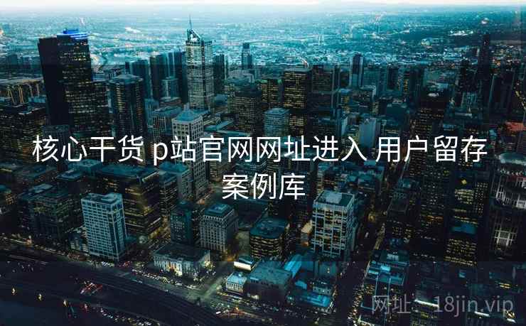 核心干货 p站官网网址进入 用户留存 案例库  第1张