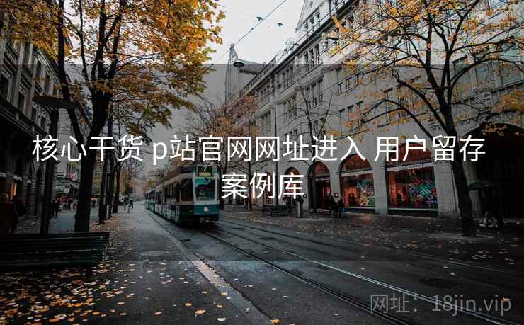 核心干货 p站官网网址进入 用户留存 案例库  第2张