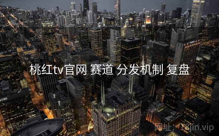 桃红tv官网 赛道 分发机制 复盘  第2张
