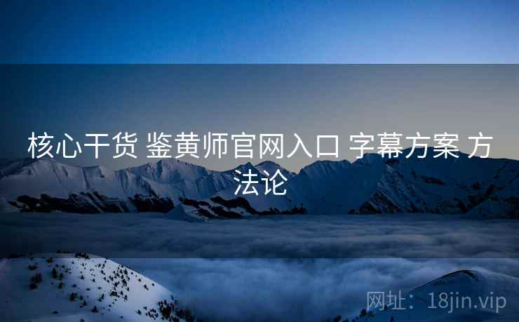 核心干货 鉴黄师官网入口 字幕方案 方法论  第2张