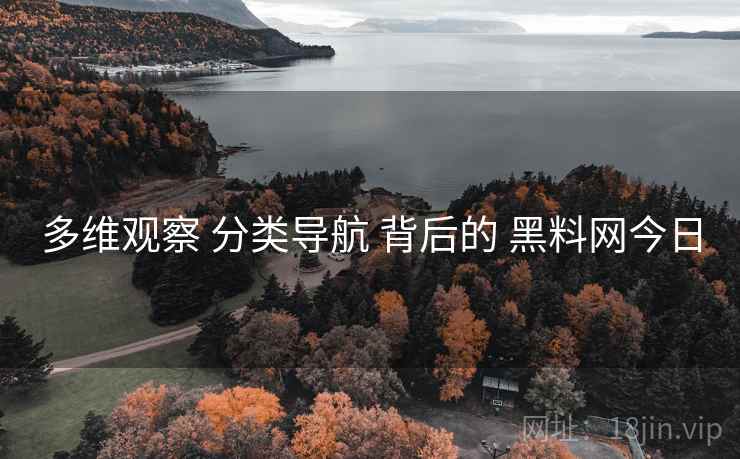 多维观察 分类导航 背后的 黑料网今日  第2张