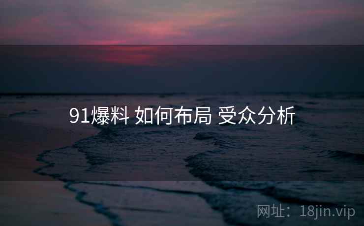 91爆料 如何布局 受众分析  第2张