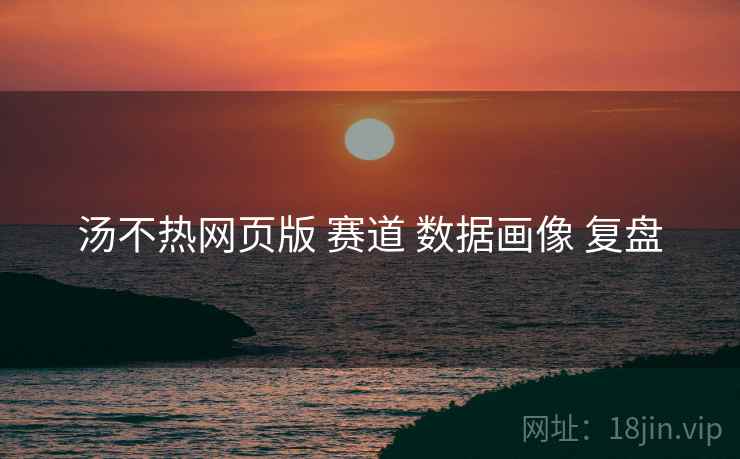 汤不热网页版 赛道 数据画像 复盘