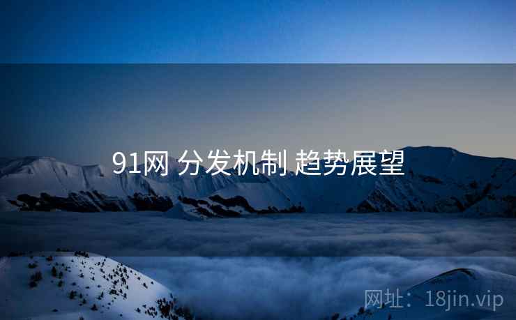 91网 分发机制 趋势展望  第2张