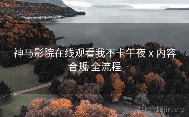 神马影院在线观看我不卡午夜 x 内容合规 全流程  第2张