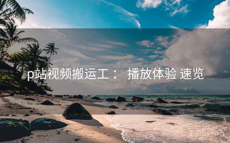 p站视频搬运工 ： 播放体验 速览  第1张
