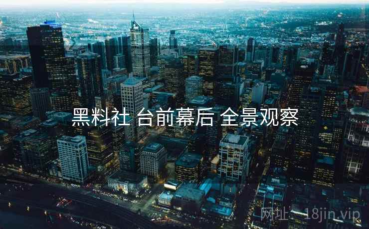 黑料社 台前幕后 全景观察  第2张