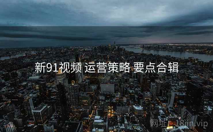 新91视频 运营策略 要点合辑  第2张