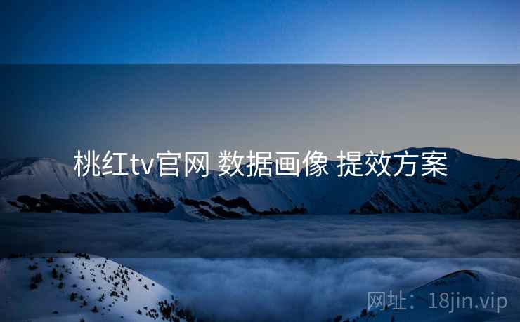 桃红tv官网 数据画像 提效方案  第1张