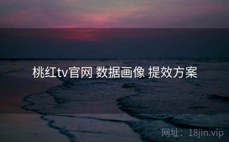 桃红tv官网 数据画像 提效方案  第2张