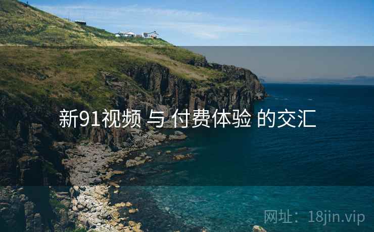 新91视频 与 付费体验 的交汇  第2张