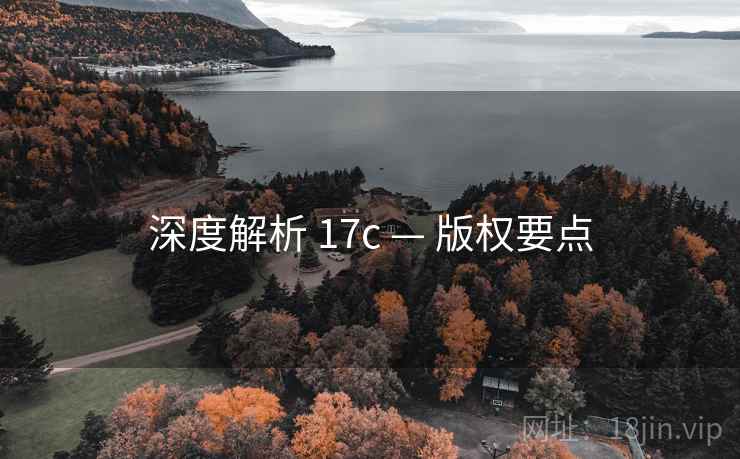 深度解析 17c — 版权要点  第2张
