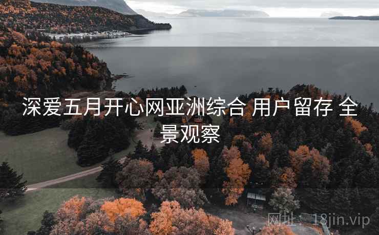 深爱五月开心网亚洲综合 用户留存 全景观察  第1张
