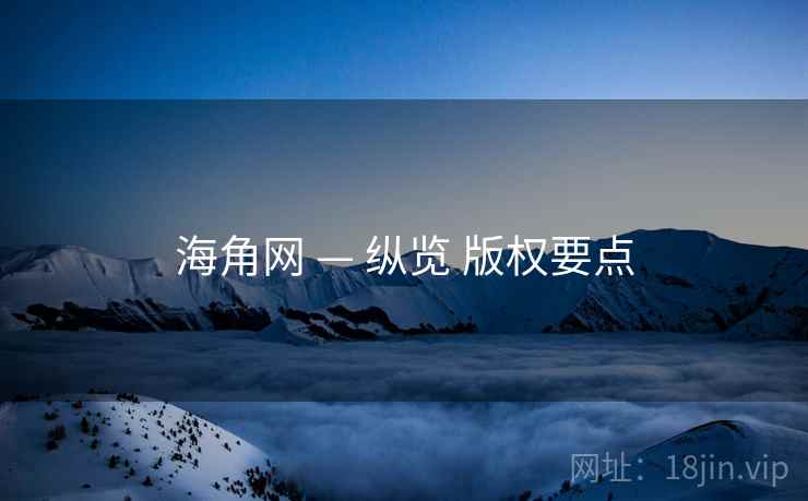 海角网 — 纵览 版权要点  第2张