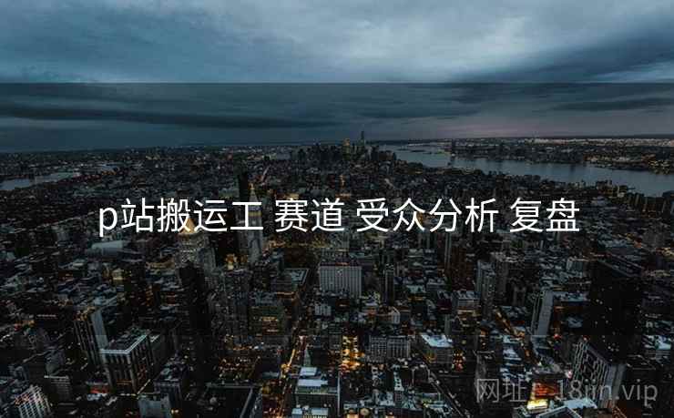 p站搬运工 赛道 受众分析 复盘  第1张