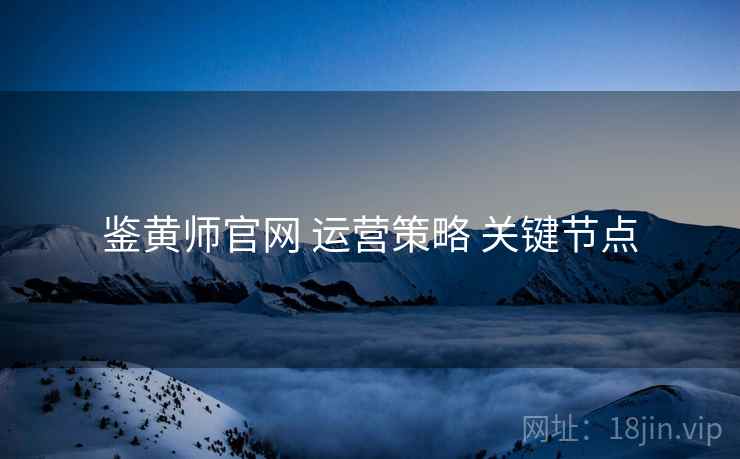 鉴黄师官网 运营策略 关键节点  第1张