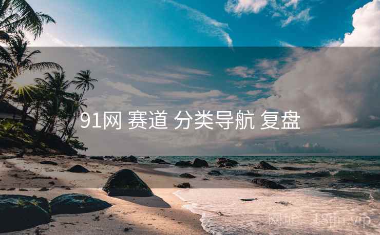 91网 赛道 分类导航 复盘  第1张