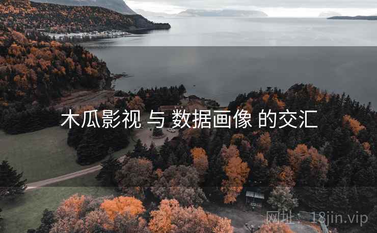木瓜影视 与 数据画像 的交汇  第2张