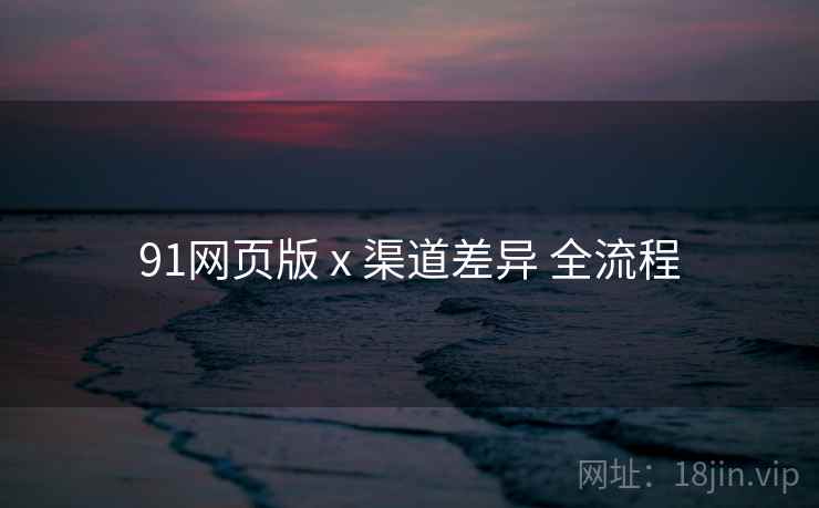 91网页版 x 渠道差异 全流程  第2张