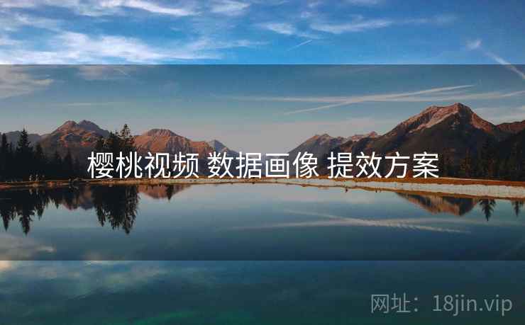 樱桃视频 数据画像 提效方案  第2张