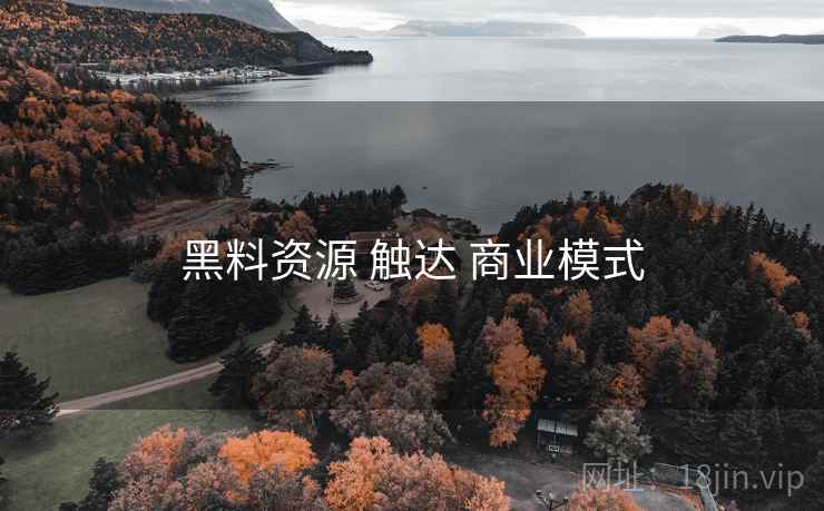 黑料资源 触达 商业模式  第1张