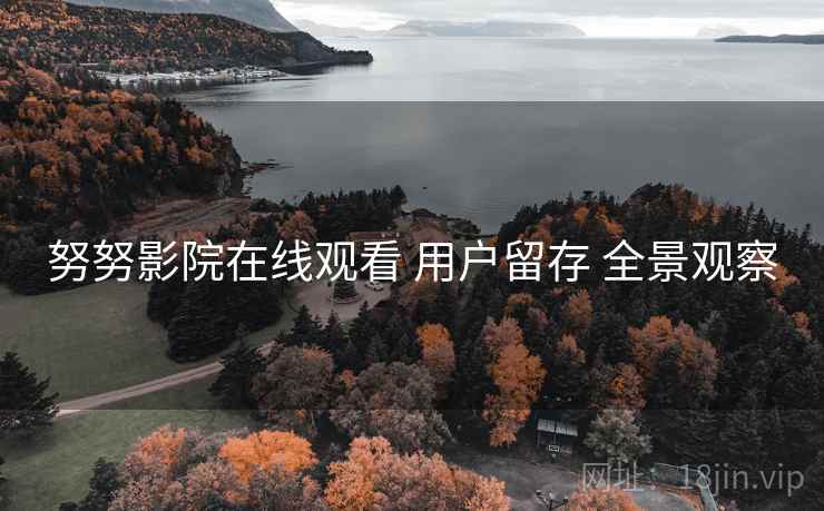 努努影院在线观看 用户留存 全景观察  第1张