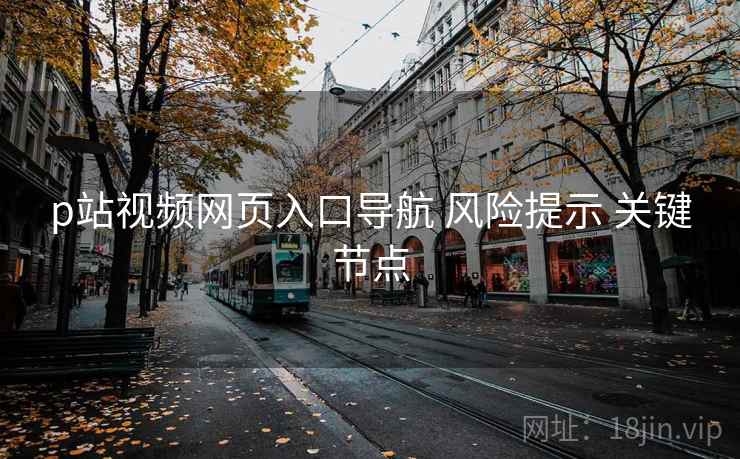 p站视频网页入口导航 风险提示 关键节点  第1张